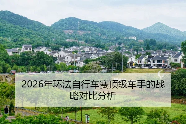 nian-huan-fa-zi-xing-che-sai-ding-ji-che-shou-de-zhan-lve-dui-bi-fen-xi-2-947.jpg
