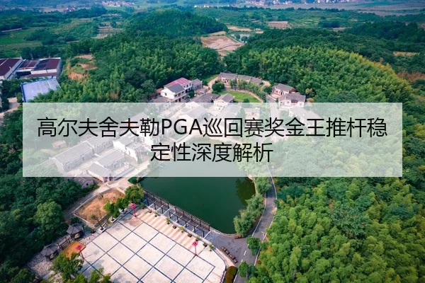 高尔夫舍夫勒PGA巡回赛奖金王推杆稳定性深度解析
