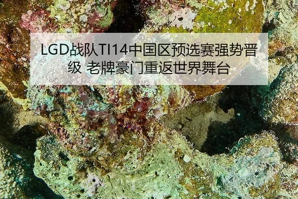 LGD战队TI14中国区预选赛强势晋级 老牌豪门重返世界舞台