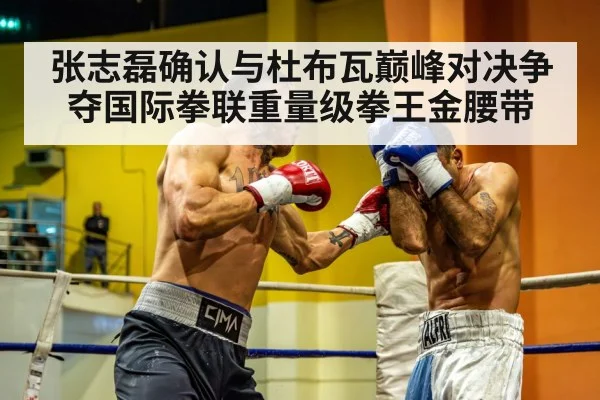 张志磊确认与杜布瓦巅峰对决争夺国际拳联重量级拳王金腰带